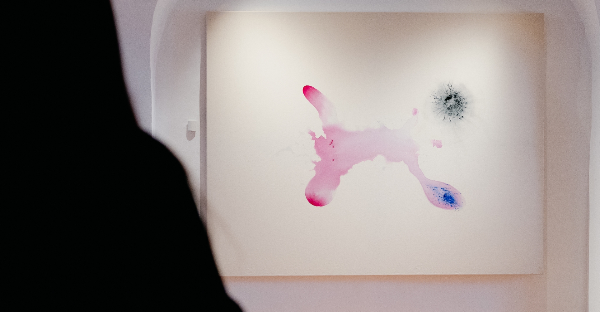 Exhibition: From the Mist