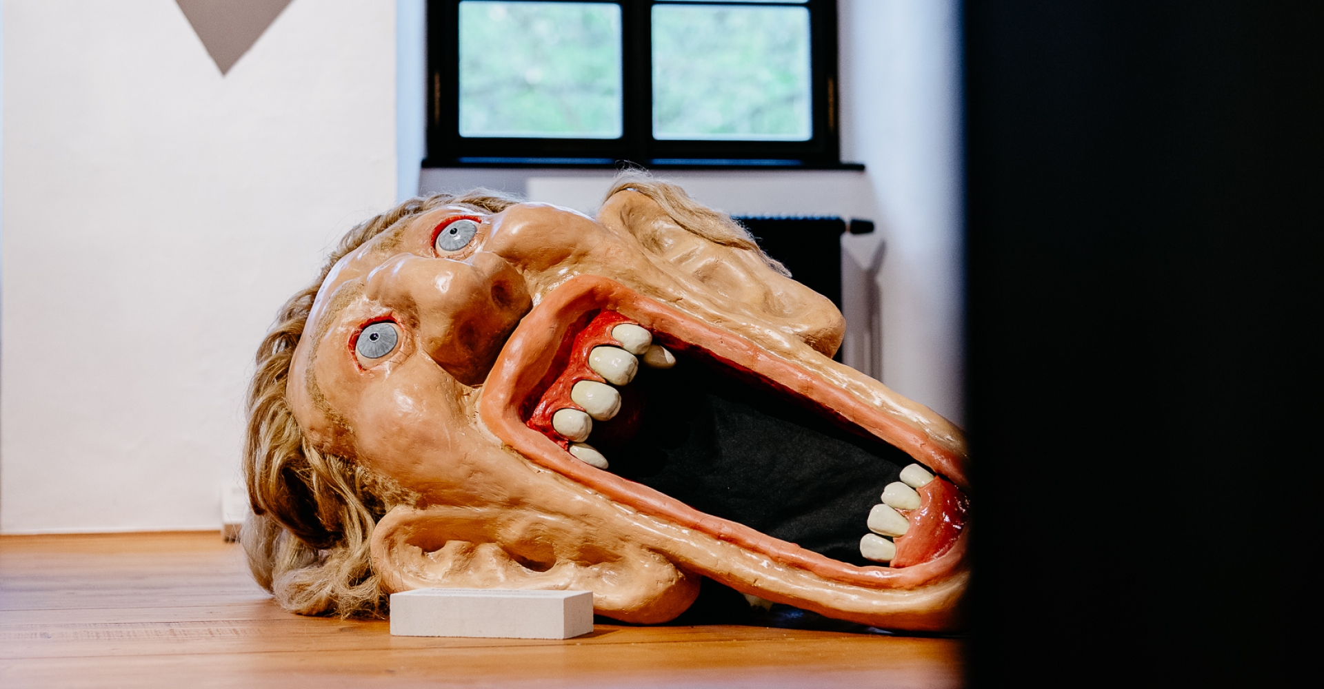 Exhibition: Art School Graduation Projects